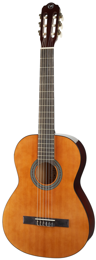 Kytara TANGLEWOOD EM C3