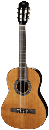 Dětská kytara TANGLEWOOD EM C2