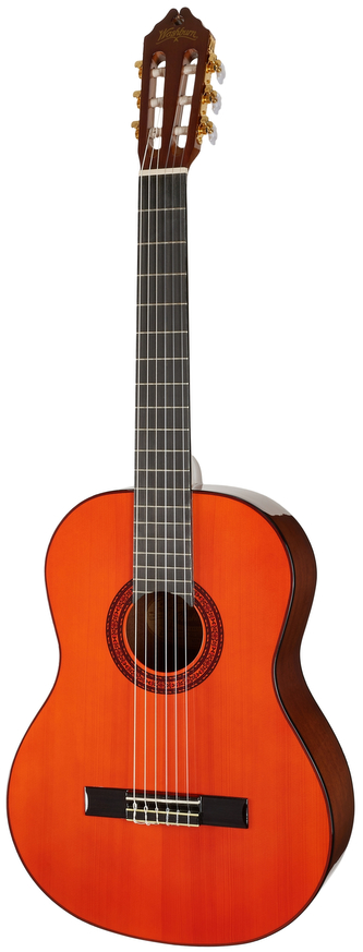 Kytara WASHBURN C5-A-U