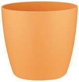 Obal Brussels Classic - sunrise orange 12,5 cm