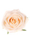 Růže, barva krémová. Květina umělá vazbová. Cena za balení 12 kusů