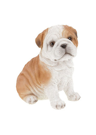 Francouský buldoček v hnědobílé barvě, sedící, polyresinová dekorace