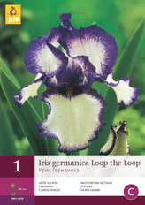 Karta - Kosatec GERMANICA LOOP THE LOOP (1 hlíza) "B"