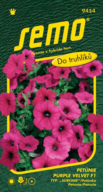 Petúnia previsnutá - Purple Velvet F1 (typ Surfínia) 10p Petúnia previsnutá - Purple Velvet F1 (typ Surfínia) 10p