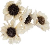 Dekorace - Sola Folded Star Daisy 6 cm - 4 ks