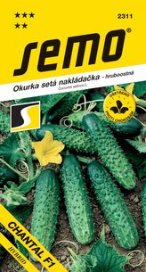 Uhorka nakl. - Chantal F1 hr 2g