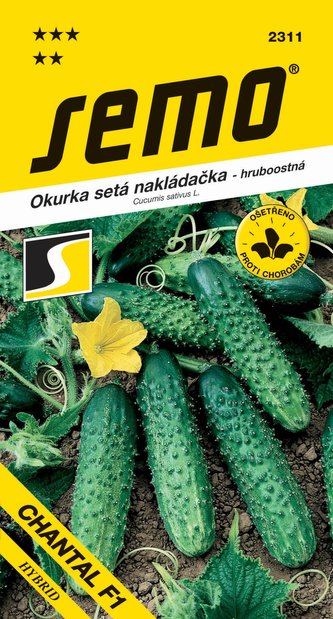 Uhorka nakl. - Chantal F1 hr 2g