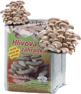 Substrát - hliva ustricová