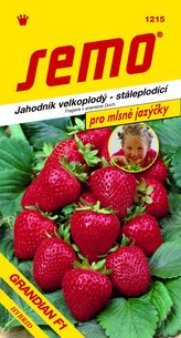 Jahodník veľkoplodý - Grandian F1 12s - séria JAZÝČKY