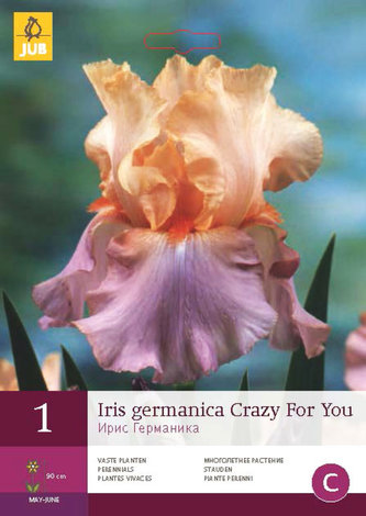 Karta - Kosatec GERMANICA CRAZY FOR YOU (1 hlíza) "B"