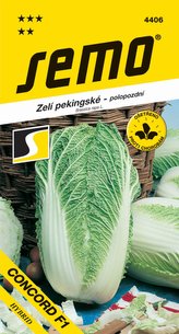 Kapusta pekinská - Concord F1 súdoček 50s