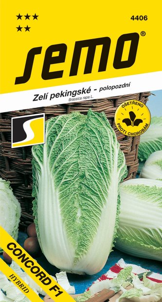 Kapusta pekinská - Concord F1 súdoček 50s