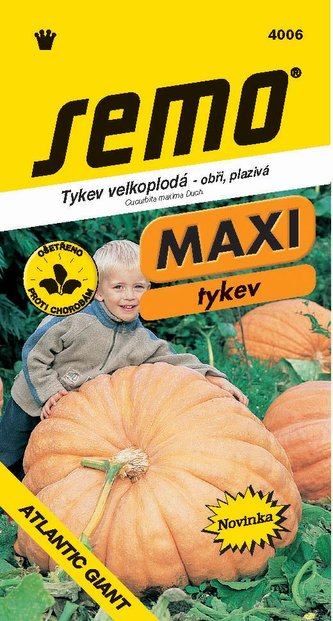 Tykev plazivá - Atlantic Giant 4s - série MAXI