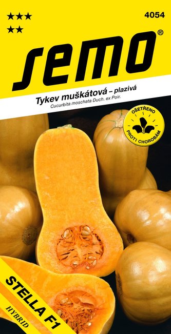 Tekvica muškátová - Stella F1 (typ Butternut) konz.var 2g