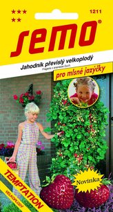 Jahodník převislý - Temptation 15s - série JAZÝČKY