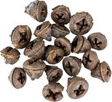 Dekorácie - Eucalyptus Pod - 20 ks