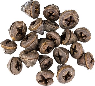 Dekorácie - Eucalyptus Pod - 20 ks
