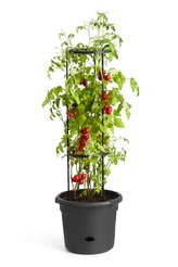 Obal Green Basics Tomato Pot - living black 33 cm