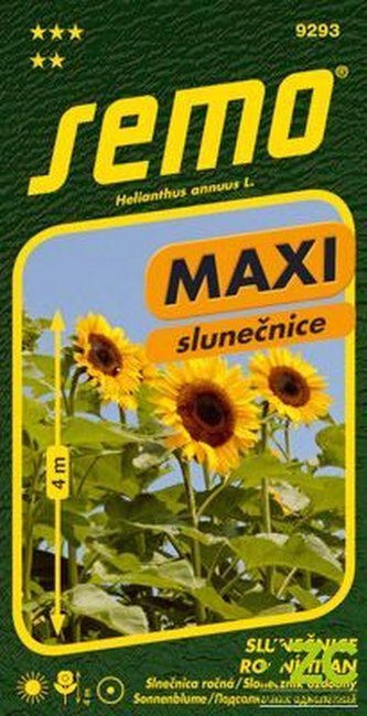 Slnečnica ročná - Kong F1 (Titan) 1,5 g - séria MAXI
