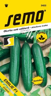 Uhorka sklen. - Emília F1 Kr 10s