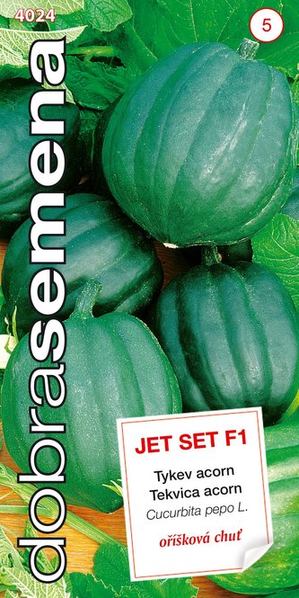 Dobrá semena Tykev acorn - Jet Set F1, tm zelená 9s