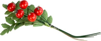 Přízdoba látková - jeřabina