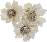 Dekorace - Sola Folded Star Protea 6 cm - 3 ks