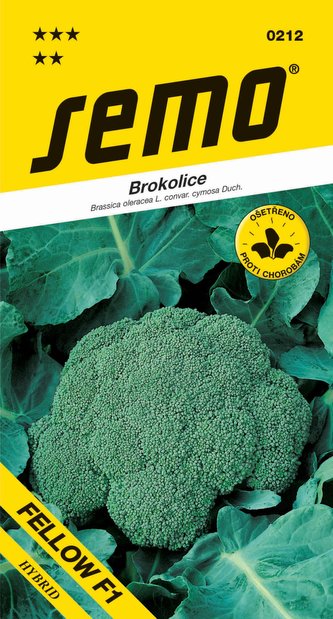 Brokolica - Steel F1 30s celoročná