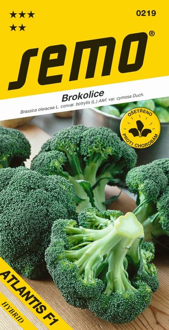 Brokolica - Atlantis F1 40s