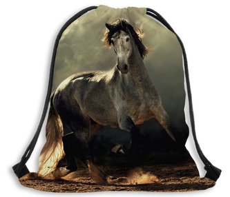 Vak na záda 110 KŮŇ MyBestHome 41x32 cm