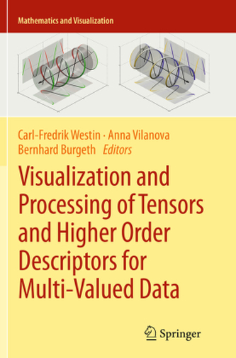 Visualization and Processing of Tensors and Higher Order Descriptors for Multi-Valued Data Visualization and Processing of Tensors and Higher Order Descriptors for Multi-Valued Data