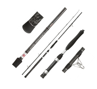 Sumcový prut Legion Cat Silver Power AR 2,40m 200-400g