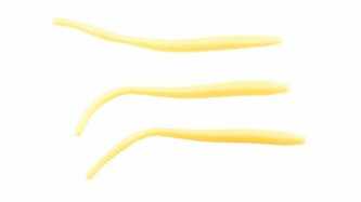 POWERBAIT® POWER® FLOATING TROUT WORM 8CM CHEESE