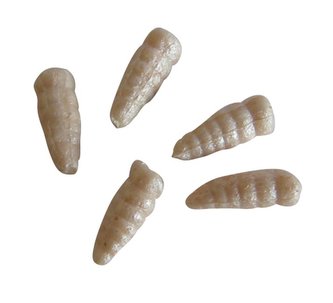 GULP ČERVI 1CM BÍLÁ