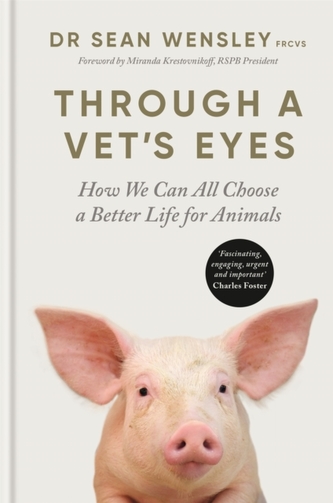 Through A Vet's Eyes