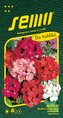 Pelargónia páskatá - zmes 11s
