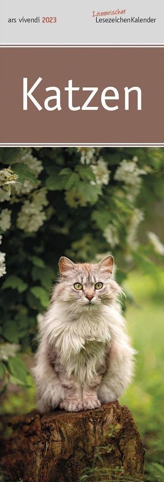 Lesezeichenkalender Katzen 2023