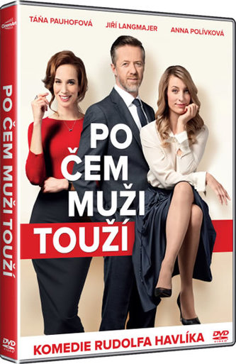 Po čom muži túžia - DVD