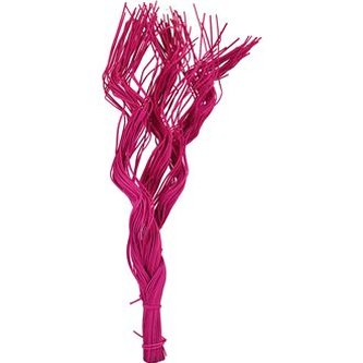 bláznivý pedig malý,50g. fuchsie