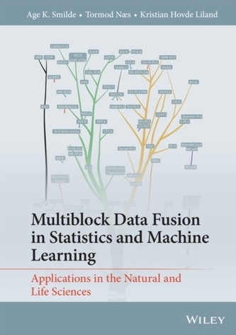Multiblock Data Fusion in Statistics and Machine L earning: Applications in the Natural and Life Scie nces