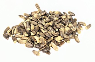 Grešík Pestrec Marián. plod 1 kg