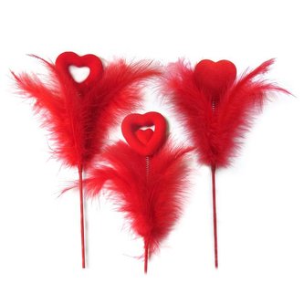 SRDÍČKO Z PÍRKY ZÁPICH, 5 CM/34 CM