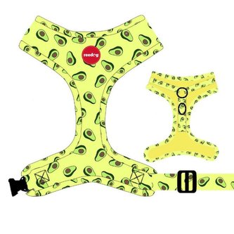 Postroj Reedog AVOCADO-XS