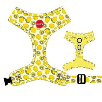 Postroj Reedog LEMON-XXS