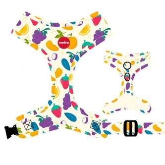 Postroj Reedog FRUIT-XS