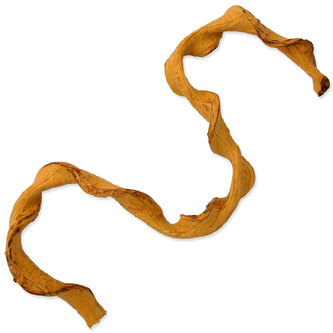 Dekorace REPTI PLANET liána točená