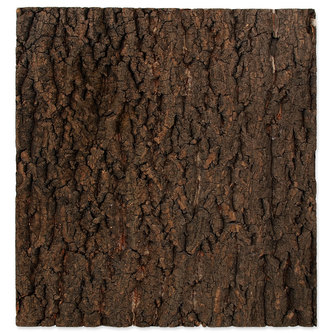 Pozadí REPTI PLANET korek přírodní 43,5 x 41 x 2 cm