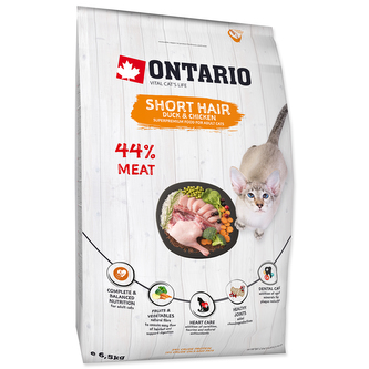 ONTARIO Cat Shorthair