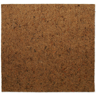 Pozadí REPTI PLANET Coco Pad 50 x 50 cm