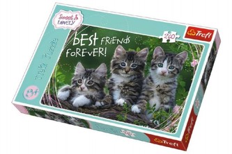 Puzzle Mačiatka 260 dielikov 60x40cm v krabici 40x27x4cm